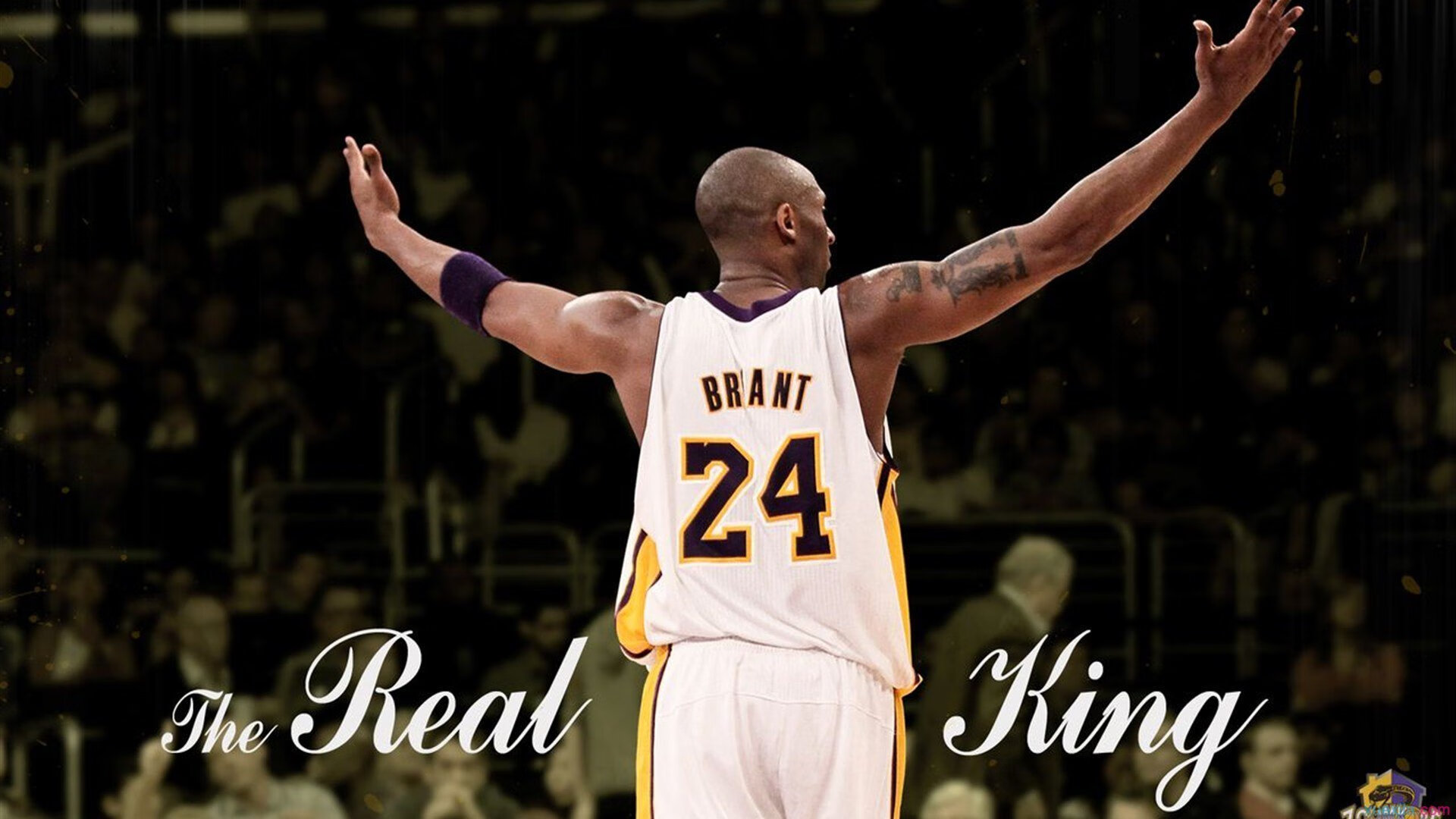 开云体育博彩-《全球电竞联赛布局：区域赛逐步扩大影响力》，电竞全球总结赛