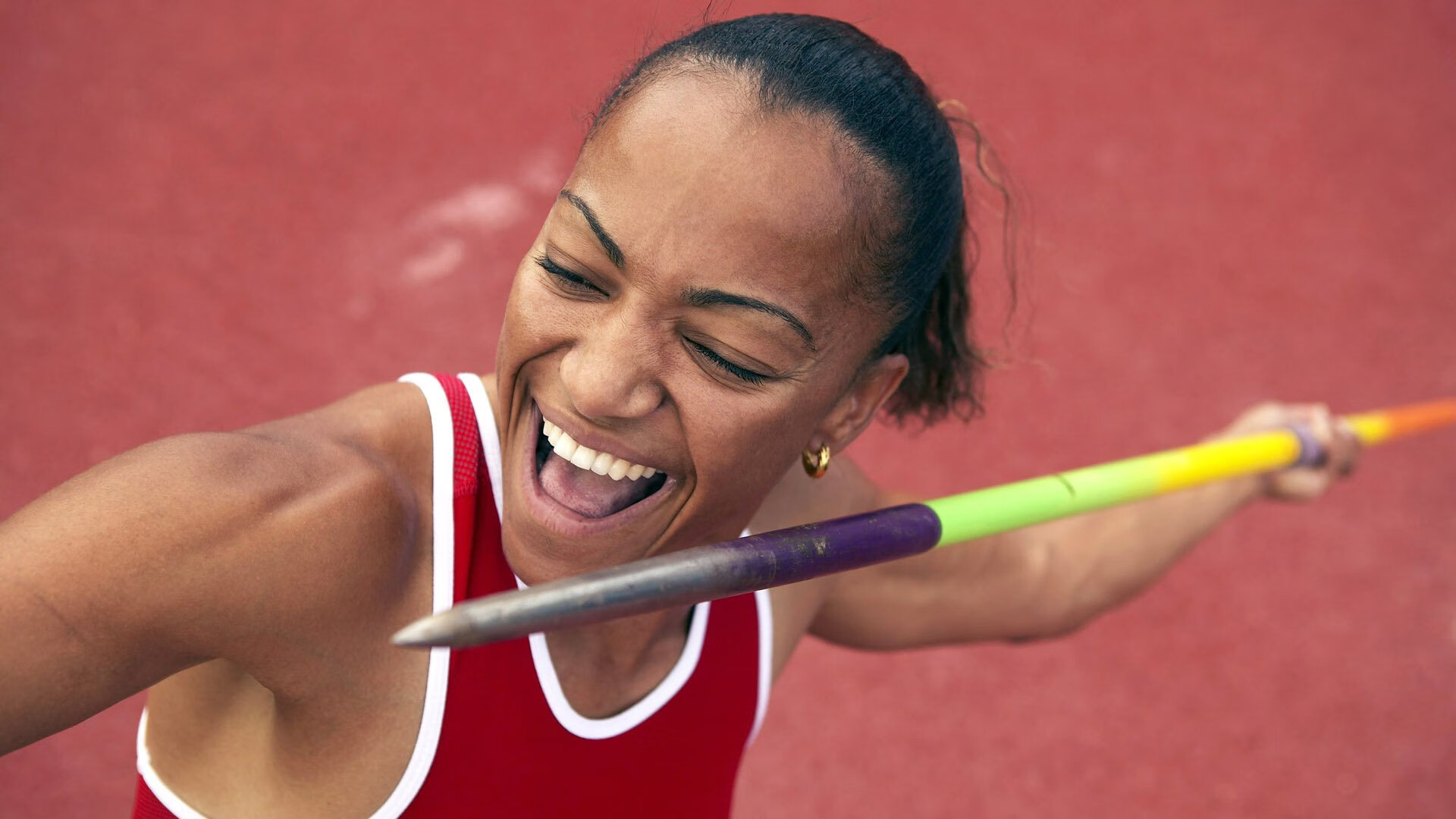 常青树：那些常年保持高水平的老将，常青树树图片